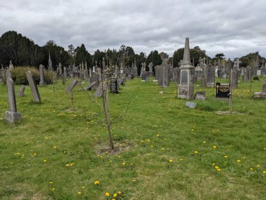 Glasnevin Mezarlığı, İrlanda 'nın en büyük mezarlığı.
