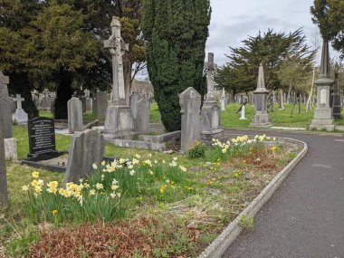 Glasnevin Mezarlığı, İrlanda 'nın en büyük mezarlığı.