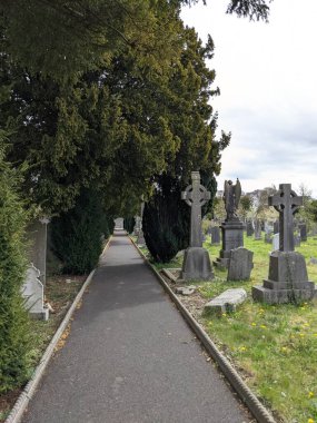 Glasnevin Mezarlığı 'ndaki yeşil sokak, Dublin, İrlanda.
