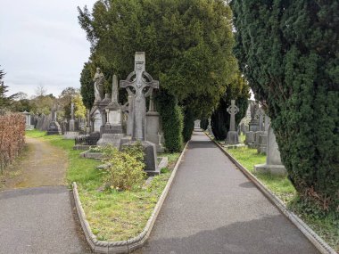 Glasnevin Mezarlığı 'ndaki yeşil sokak, Dublin, İrlanda.