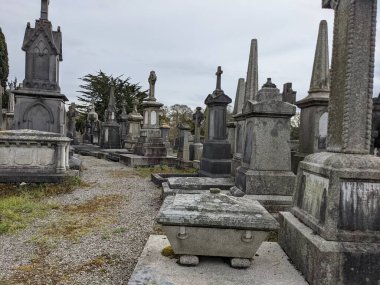 Glasnevin Mezarlığı, İrlanda 'nın en büyük mezarlığı.