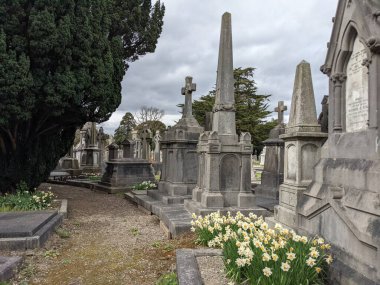 Glasnevin Mezarlığı, İrlanda 'nın en büyük mezarlığı.