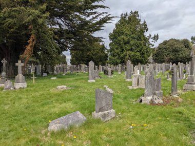 Glasnevin Mezarlığı, İrlanda 'nın en büyük mezarlığı.
