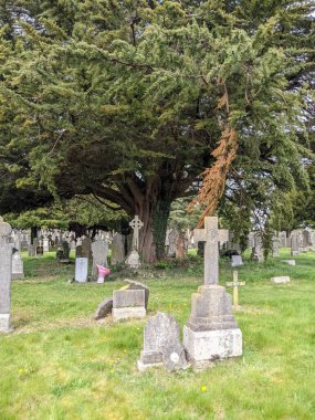 Glasnevin Mezarlığı, İrlanda 'nın en büyük mezarlığı.