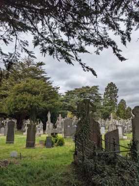 Glasnevin Mezarlığı, İrlanda 'nın en büyük mezarlığı.