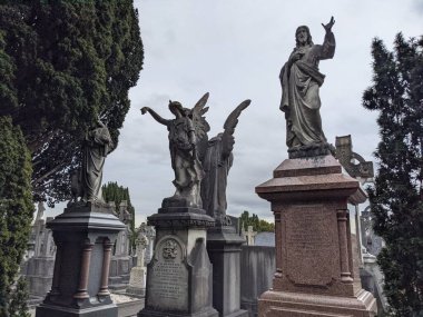 Glasnevin Mezarlığı, İrlanda 'nın en büyük mezarlığı.