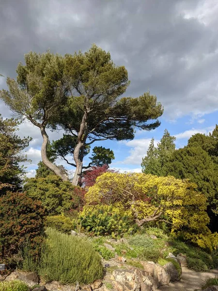 Mavi arka planda ağaçlar olan güzel yeşil bir park.