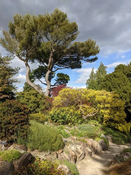 Mavi arka planda ağaçlar olan güzel yeşil bir park.