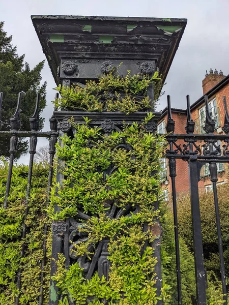 Green Shrub Wrought Iron Fence — Stock fotografie