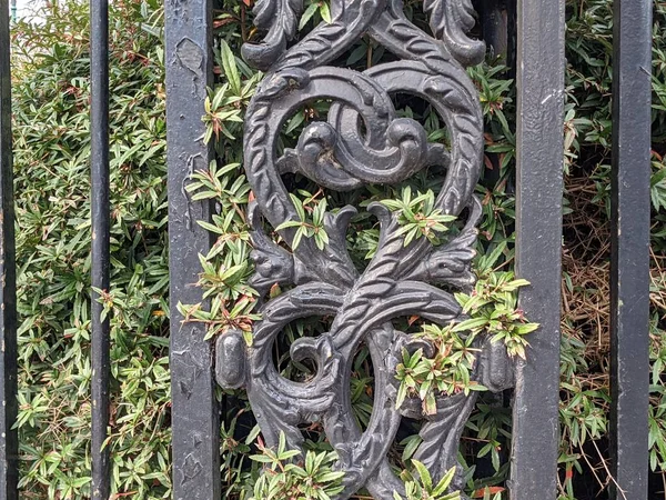 Green Shrub Wrought Iron Fence — Stock Photo, Image