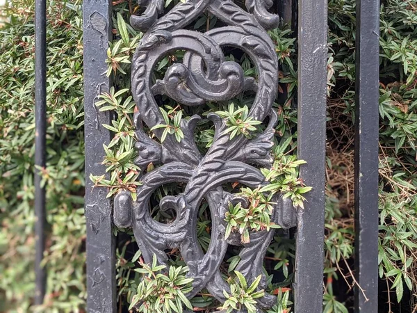 Green Shrub Wrought Iron Fence — Fotografia de Stock