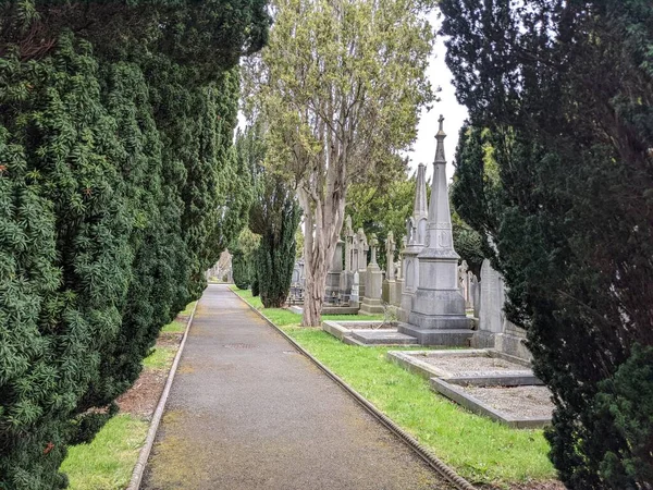 Glasnevin Mezarlığı 'ndaki yeşil sokak, Dublin, İrlanda.