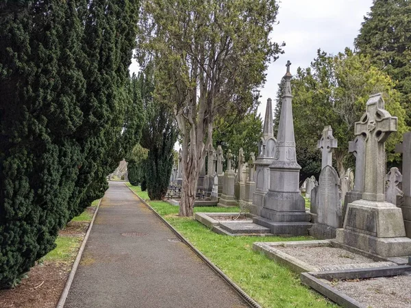 Glasnevin Mezarlığı 'ndaki yeşil sokak, Dublin, İrlanda.