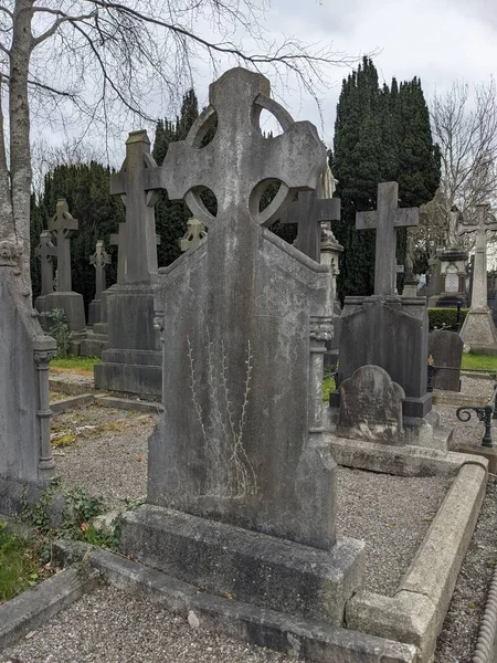 아일랜드 더블린 공동묘지 글라스 — 스톡 사진