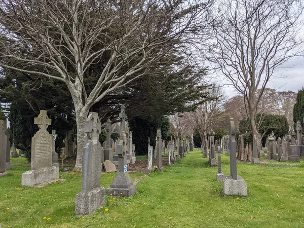 Glasnevin Mezarlığı, İrlanda 'nın en büyük mezarlığı.