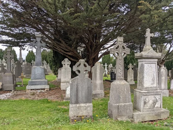 Glasnevin Mezarlığı, İrlanda 'nın en büyük mezarlığı.