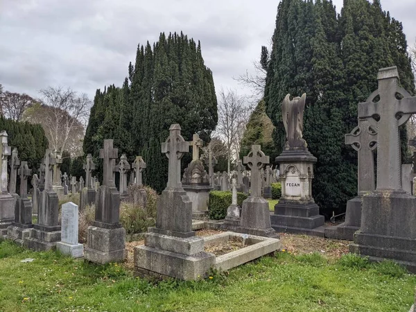 Glasnevin Mezarlığı, İrlanda 'nın en büyük mezarlığı.