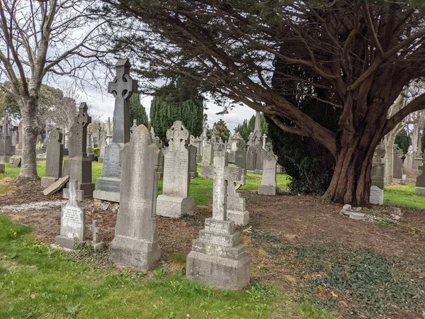 Glasnevin Mezarlığı, İrlanda 'nın en büyük mezarlığı.
