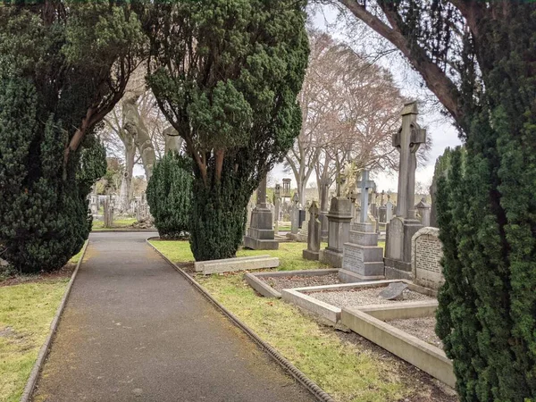 Glasnevin Mezarlığı 'ndaki yeşil sokak, Dublin, İrlanda.