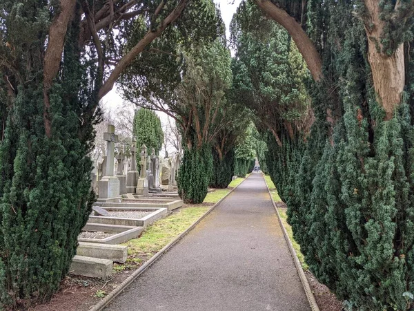 Zelená Ulička Hřbitově Glasnevinu Dublin Irsko — Stock fotografie