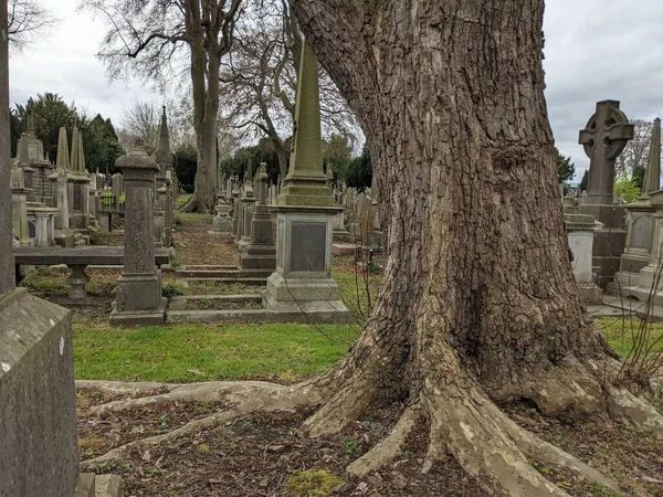 Glasnevin Mezarlığı, İrlanda 'nın en büyük mezarlığı.