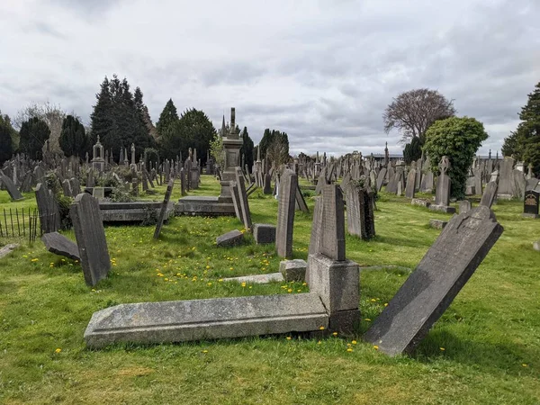 Glasnevin Mezarlığı Rlanda Nın Büyük Mezarlığı — Stok fotoğraf