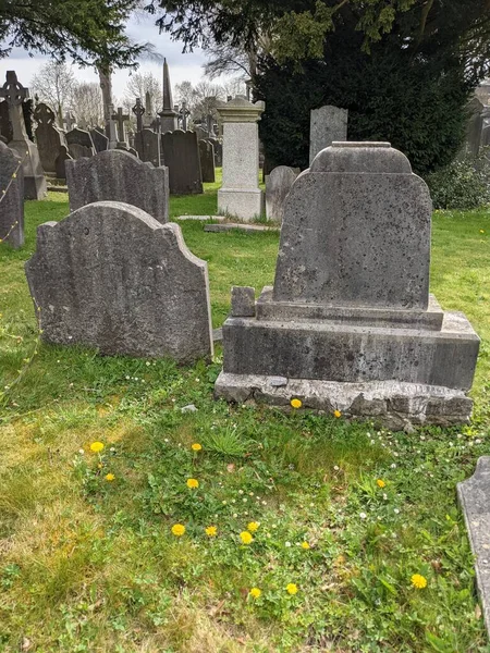Glasnevin Mezarlığı, İrlanda 'nın en büyük mezarlığı.
