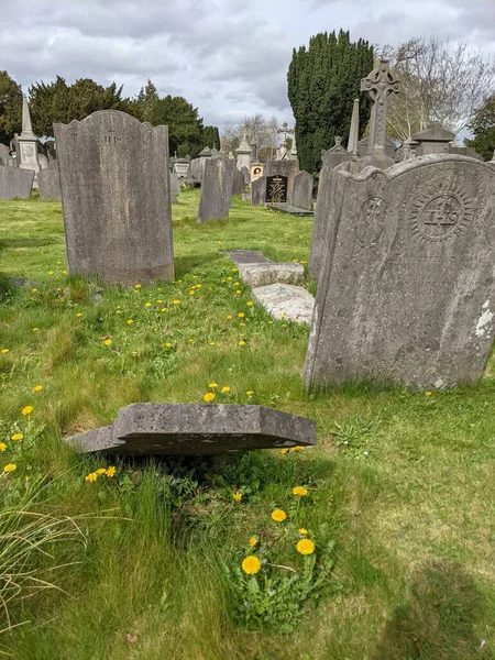 Glasnevin Mezarlığı, İrlanda 'nın en büyük mezarlığı.