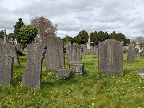 Glasnevin Cemetery Biggest Cemetery Dublin Ireland — Stock Photo, Image