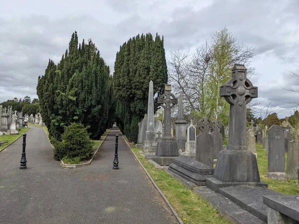 Glasnevin Mezarlığı Rlanda Nın Büyük Mezarlığı — Stok fotoğraf