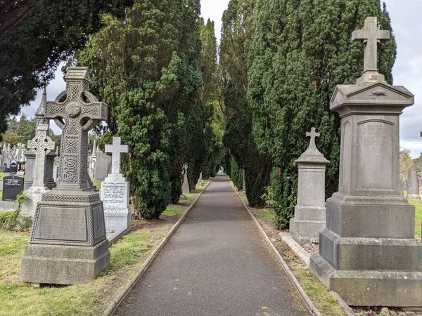 Glasnevin Mezarlığı 'ndaki yeşil sokak, Dublin, İrlanda.