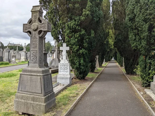Glasnevin Mezarlığı 'ndaki yeşil sokak, Dublin, İrlanda.