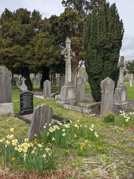 Glasnevin Mezarlığı, İrlanda 'nın en büyük mezarlığı.