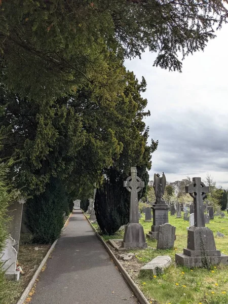 Glasnevin Mezarlığı Ndaki Yeşil Sokak Dublin Rlanda — Stok fotoğraf