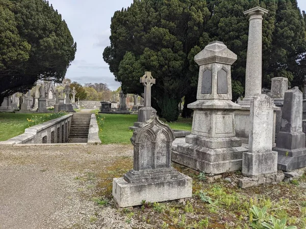 Glasnevin Mezarlığı Rlanda Nın Büyük Mezarlığı — Stok fotoğraf