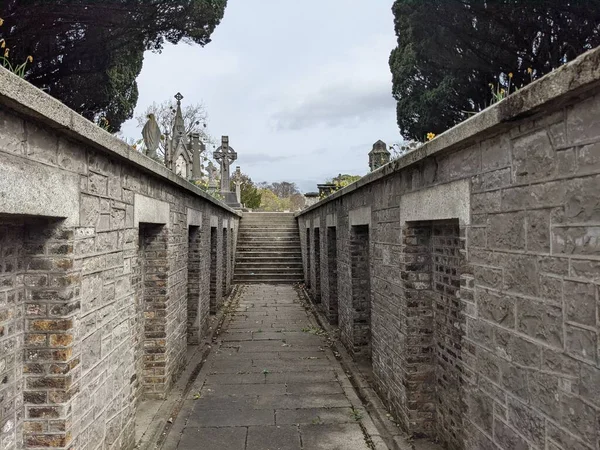 Glasnevinský Hřbitov Největší Hřbitov Dublinu Irsko — Stock fotografie