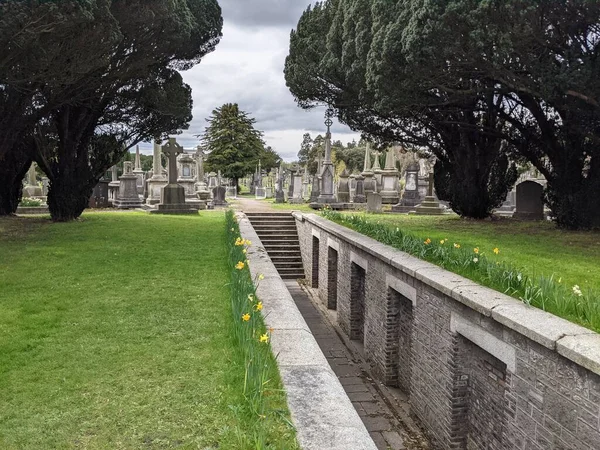 Glasnevinský Hřbitov Největší Hřbitov Dublinu Irsko — Stock fotografie