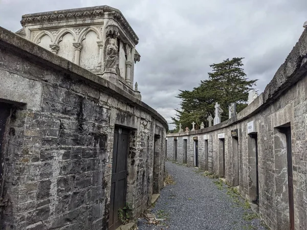 Glasnevinský Hřbitov Největší Hřbitov Dublinu Irsko — Stock fotografie