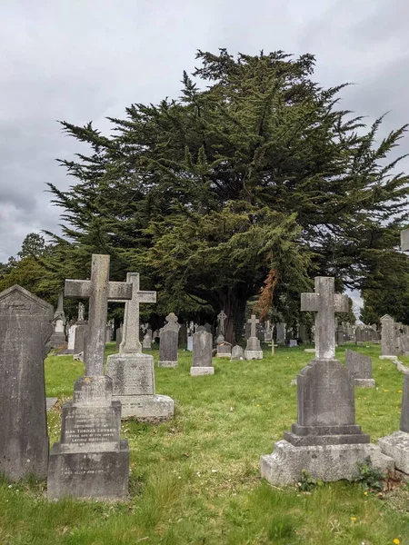 Glasnevin Mezarlığı, İrlanda 'nın en büyük mezarlığı.