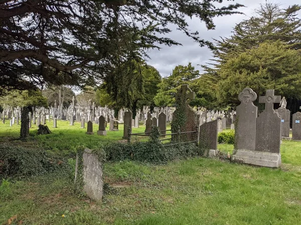 Glasnevin Mezarlığı Rlanda Nın Büyük Mezarlığı — Stok fotoğraf