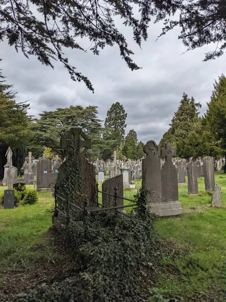 Glasnevin Mezarlığı Rlanda Nın Büyük Mezarlığı — Stok fotoğraf