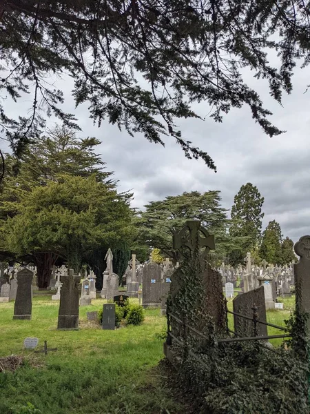 Glasnevin Mezarlığı, İrlanda 'nın en büyük mezarlığı.