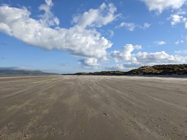 Deniz kıyısının güzel manzarası