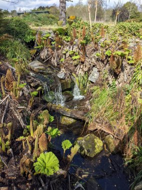 Küçük nehir şelalesinin güzel manzarası