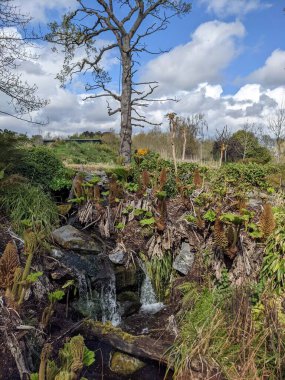 Küçük nehir şelalesinin güzel manzarası