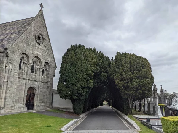 Glasnevin Mezarlığı Ndaki Yeşil Sokak Dublin Rlanda — Stok fotoğraf
