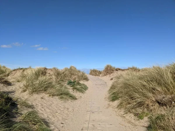 Denize açılan güzel yol