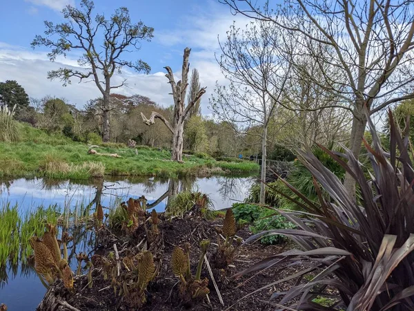 Kırsaldaki küçük bir nehrin yemyeşil bitkileri. Bankalar doğal olarak su bitkileri ve çalılarla kaplıdır..