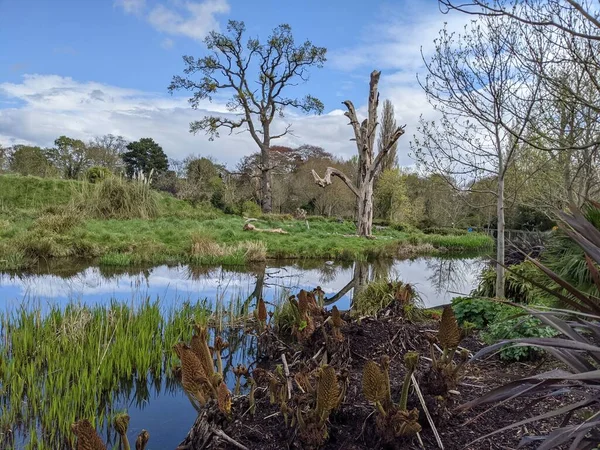 Kırsaldaki küçük bir nehrin yemyeşil bitkileri. Bankalar doğal olarak su bitkileri ve çalılarla kaplıdır..