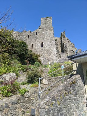 Carlingford, Louth, İrlanda